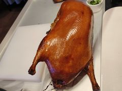 -阿庄新豫菜(航海东路店)