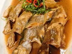 -大连湾旭日·家宴·海肠捞饭(马栏广场店)