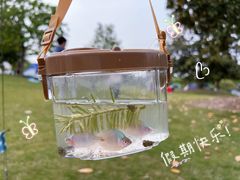 -上海辰山植物园