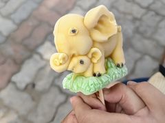 -秦皇岛野生动物园
