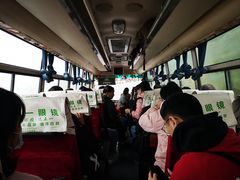 -紫鹊界梯田景区