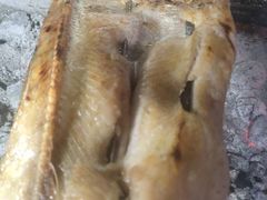 -新疆风味冷水鱼庄(友谊峰路店)