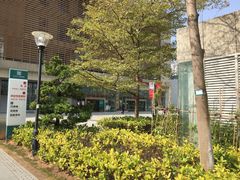 -南方医科大学深圳医院