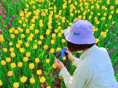 -长春公园(普阳街道)