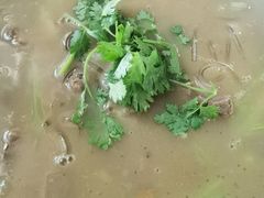 清炖驴肉-王胖子驴肉火烧(鼓楼店)