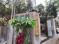 -大自然素食(望桐路店)