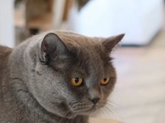 -Me Coffee下午茶艺术空间