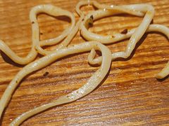 -中阿兰牛肉面(悦海新天地店)