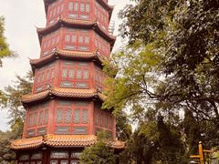 -房湖公园