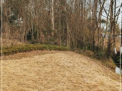 -桤木河湿地公园