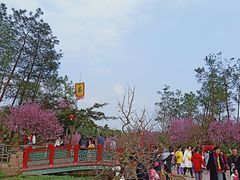 -秀丽东方
