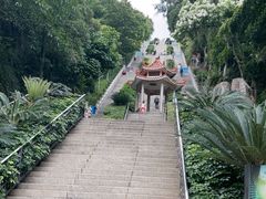-青礁慈济宫