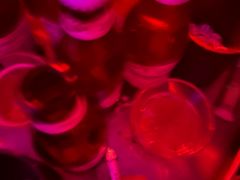 -Orangutan Bunker猩猩地堡酒吧(兰桂坊店)