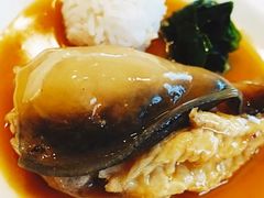 -子福慧(虹桥店)