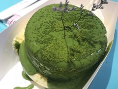 -狐狸和向日葵(北京路店)