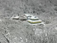 -黄龙山原始森林景区