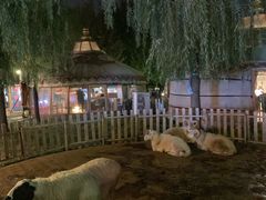 -蒙古大营(朝阳公园店)
