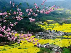 -新安江山水画廊风景区