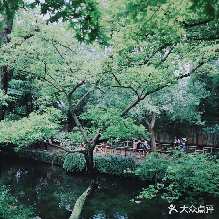 苏州旅游/园林经典拙政园🍃应该这样游～