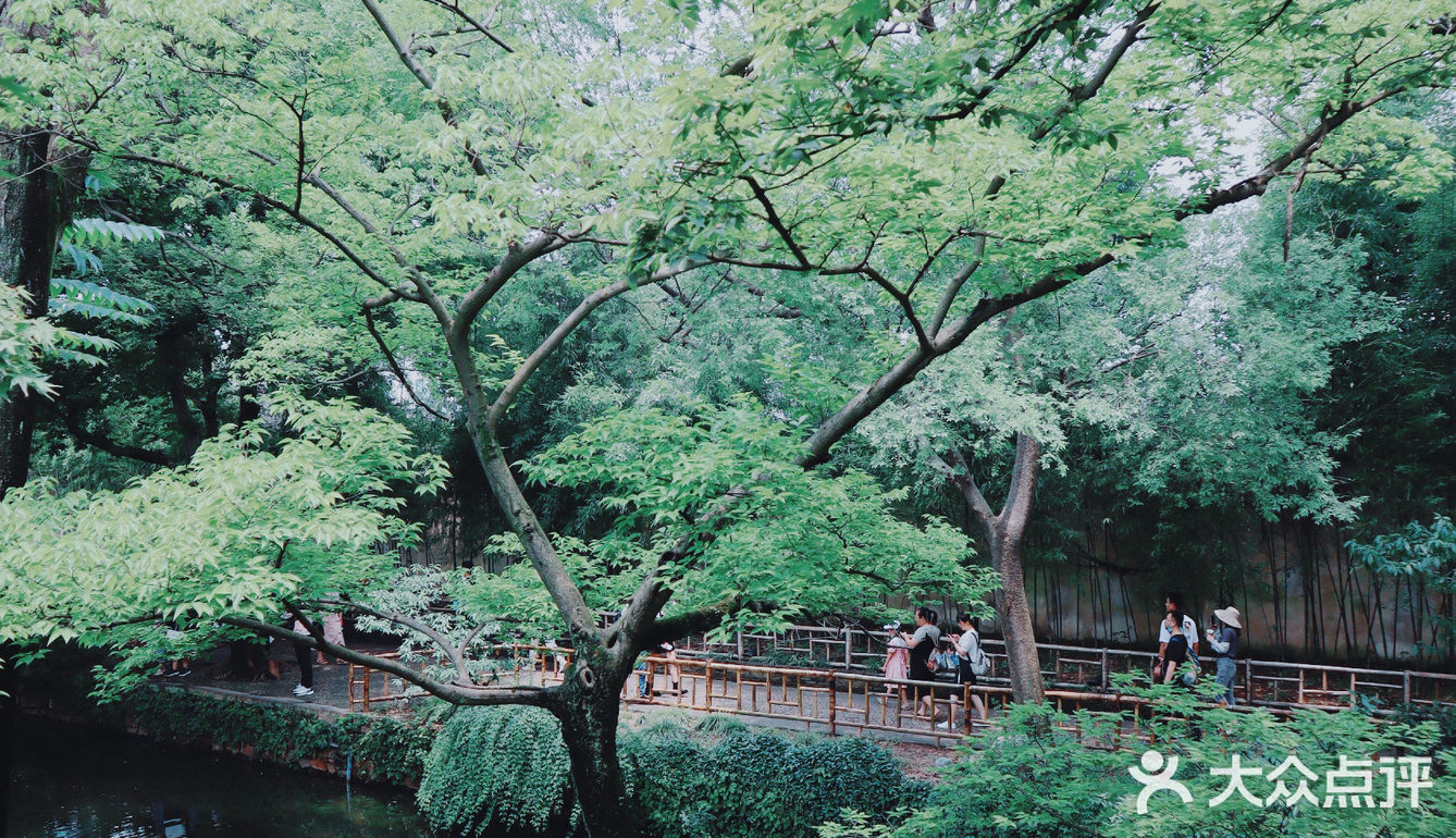 苏州旅游/园林经典拙政园🍃应该这样游～