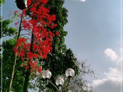 -广州市白云山风景名胜区