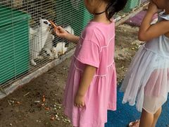 -草根堂农场
