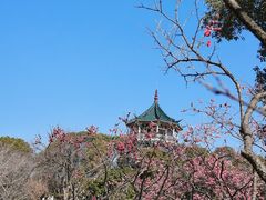 -无锡梅园公园