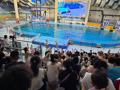-合肥海洋世界