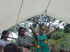 -新加坡飞禽公园