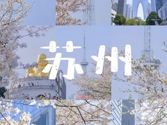 -苏州上方山国家森林公园