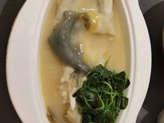 -沈灶河豚宴·河豚融合餐厅(汉中路店)