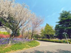 -白塘生态植物园