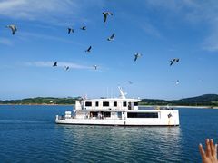 -海驴岛(荣成市)