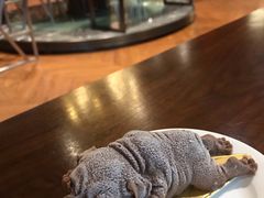 -大连金石滩绿发温泉假日酒店