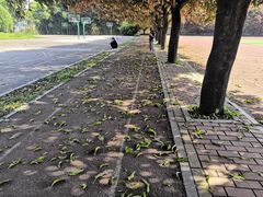-福建师范大学(仓山校区)