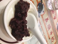 -义顺牛奶公司(新马路老店)