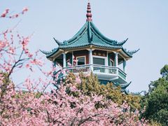 -无锡梅园公园