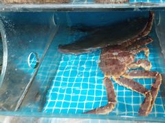 -宾朋海鲜饭庄(兴海路店)