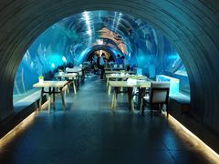 -海棠湾洲际-涛·海底餐厅·美人鱼·自助餐·海底隧道