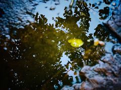 -成都市活水公园