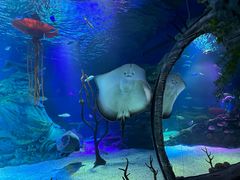 -沈阳海洋探索中心