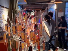 -长藤鬼校(龙翔店)