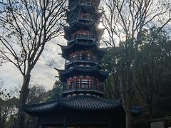 -上海佘山国家森林公园西佘山园