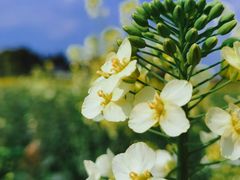 -中国天府农业博览园