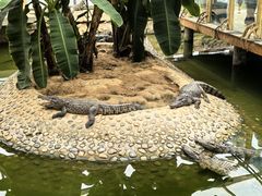 -石家庄市动物园