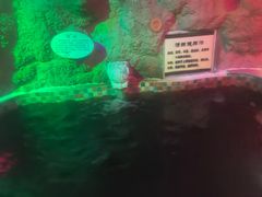 -金隅凤山酒店