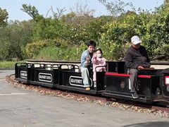 -上海都市菜园