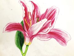 -东方童画少儿美术(莘庄体验馆)