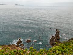 -杨梅坑