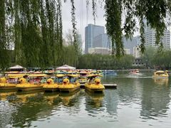 -团结湖公园